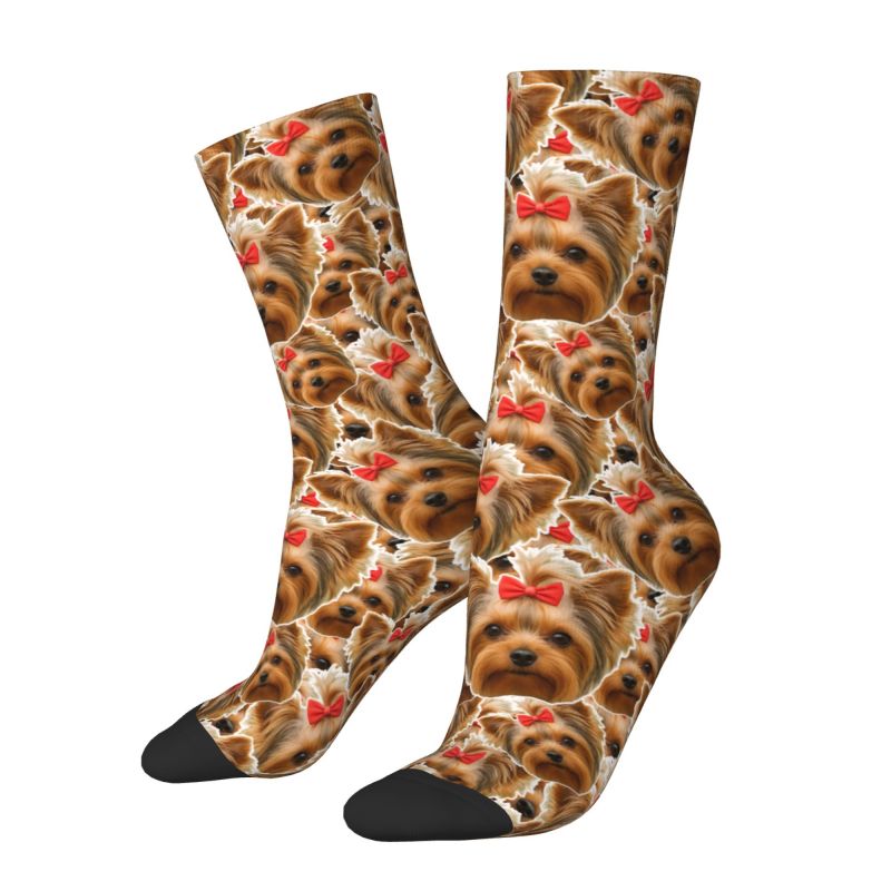 Bonito dos homens personalizad - Dress Sock Men avaliação e preço